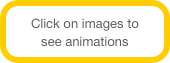 Click on images to see animations