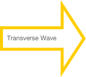 Transverse Wave